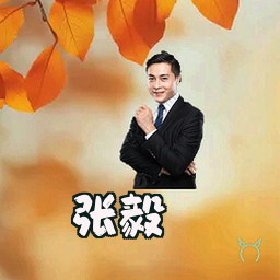 张毅
